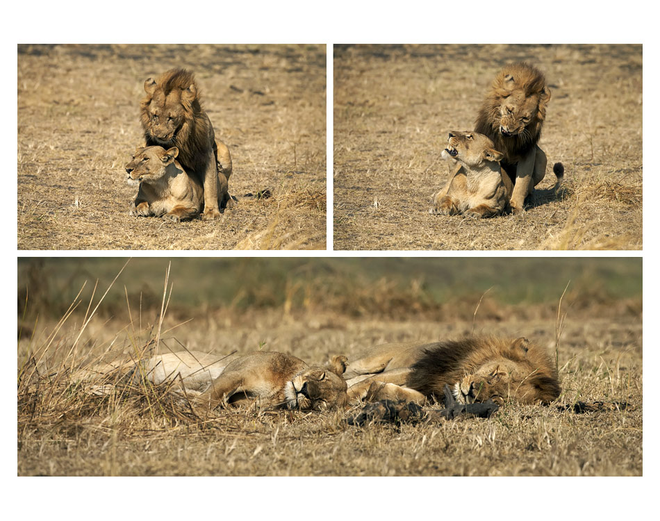 Jak to v životě chodí
