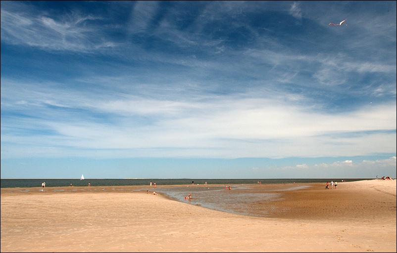 Texel