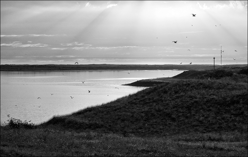 Texel