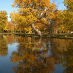 podzim v Drottningholmu