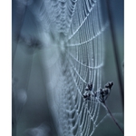 * .. luční rána ..*