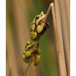 *.... vyhlídky ..*-