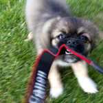 Řekl jsem nefotit!!!