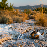 Poslední pohled na západ slunce