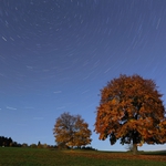 podzimní noc při úplňku