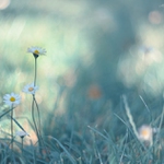 ... Summer in winter colors ...