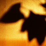 male slune dal doskace