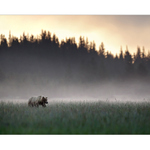 Dobré jitro Aljaško