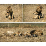 Jak to v životě chodí