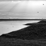 Texel