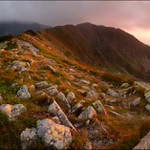 Večer pod Brestovou