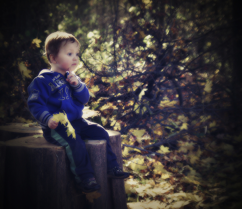 Sen o lesním skřítkovi..:-)