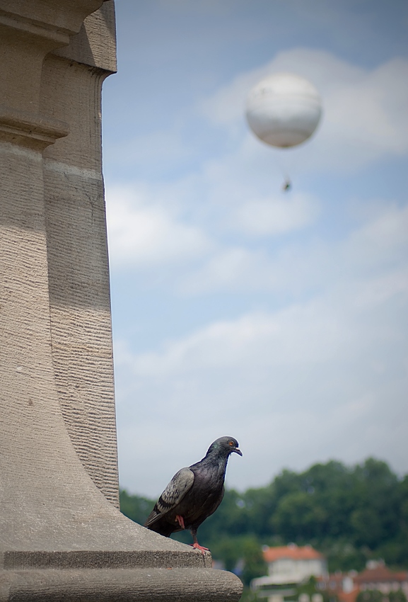 Já už nemůžu, leťte dál sami ...