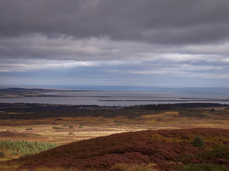 Dornoch Firth Viewpoint