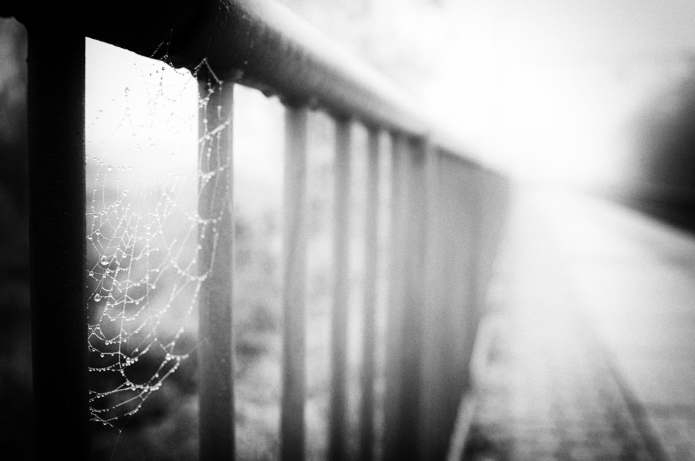 MoML 25. října 2013