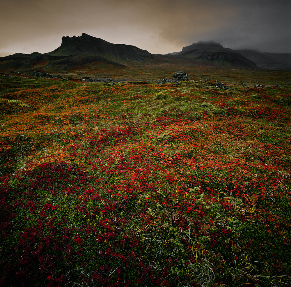 Lava field II near Snaefellsjökull. Iceland