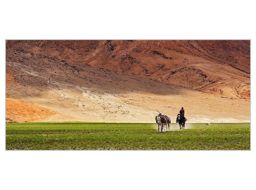 Ladak | cesta z Tibetu
