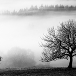 veľký a malý brat