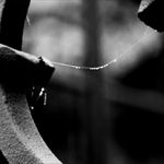 křehké vyhlídky...