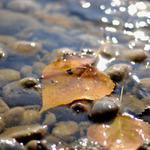 Je trištvrte na jeseň :)