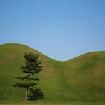 Osamělý strážce....