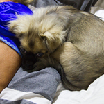 Co čumíš, tady už je plno...