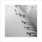 Když se vlasy deštěm zkroutí......