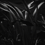 Jako ryba ve vodě...