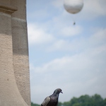 Já už nemůžu, leťte dál sami ...