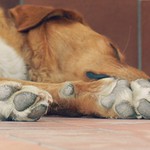 zasloužený odpočinek