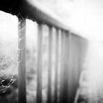 MoML 25. října 2013