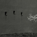 Utíkej, Káčo, utíkej