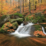 Jizerky - Černý potok