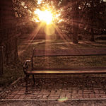 autumn leaves in Palata