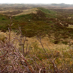 Texel - cesta trnita