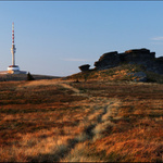 Přes Petrovy kameny na Praděd