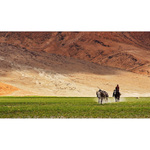 Ladak | cesta z Tibetu