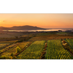 Z Přítlucké hory II.