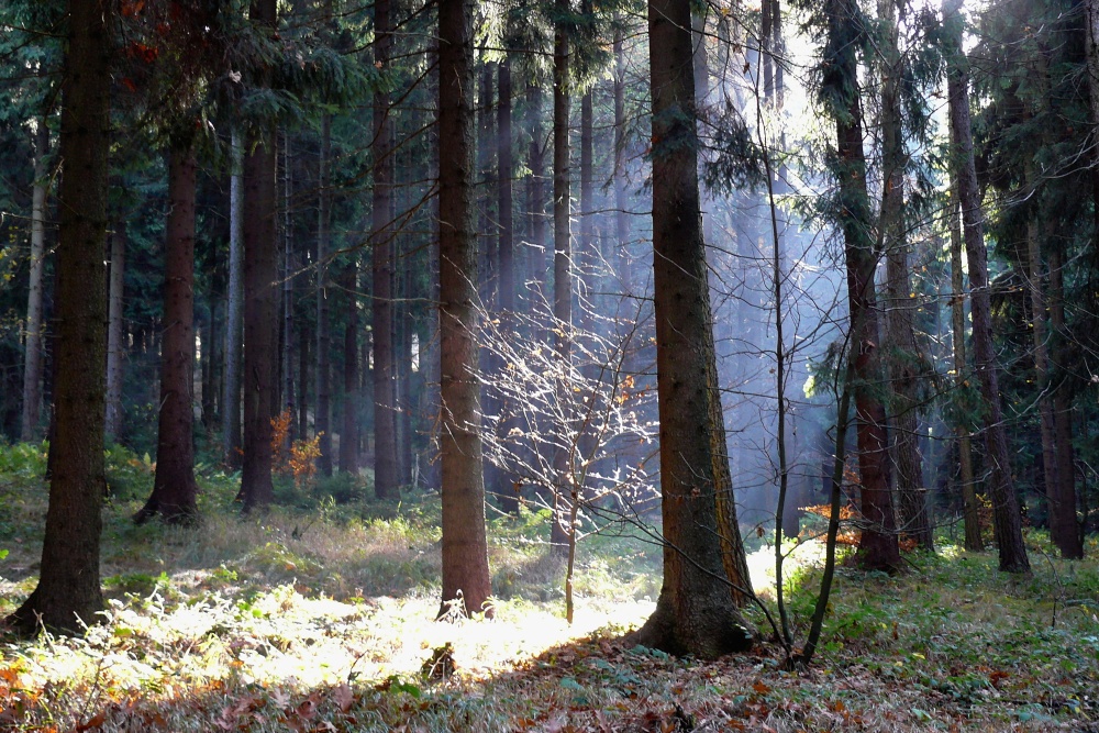 toulky po Českém Švýcarsku