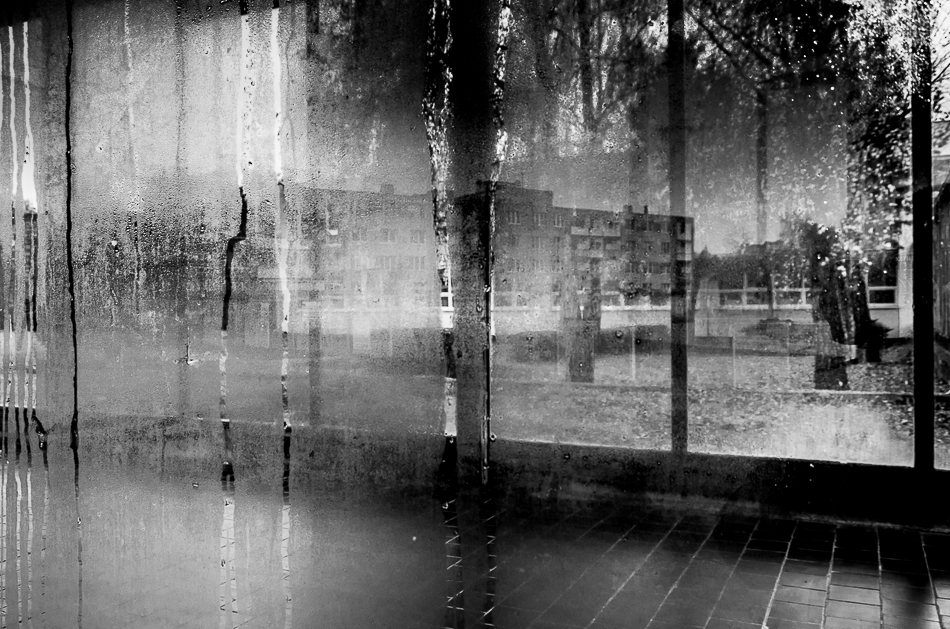 Reflexie
