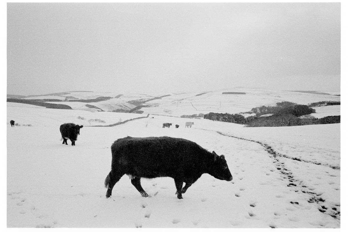meat factory (edit)