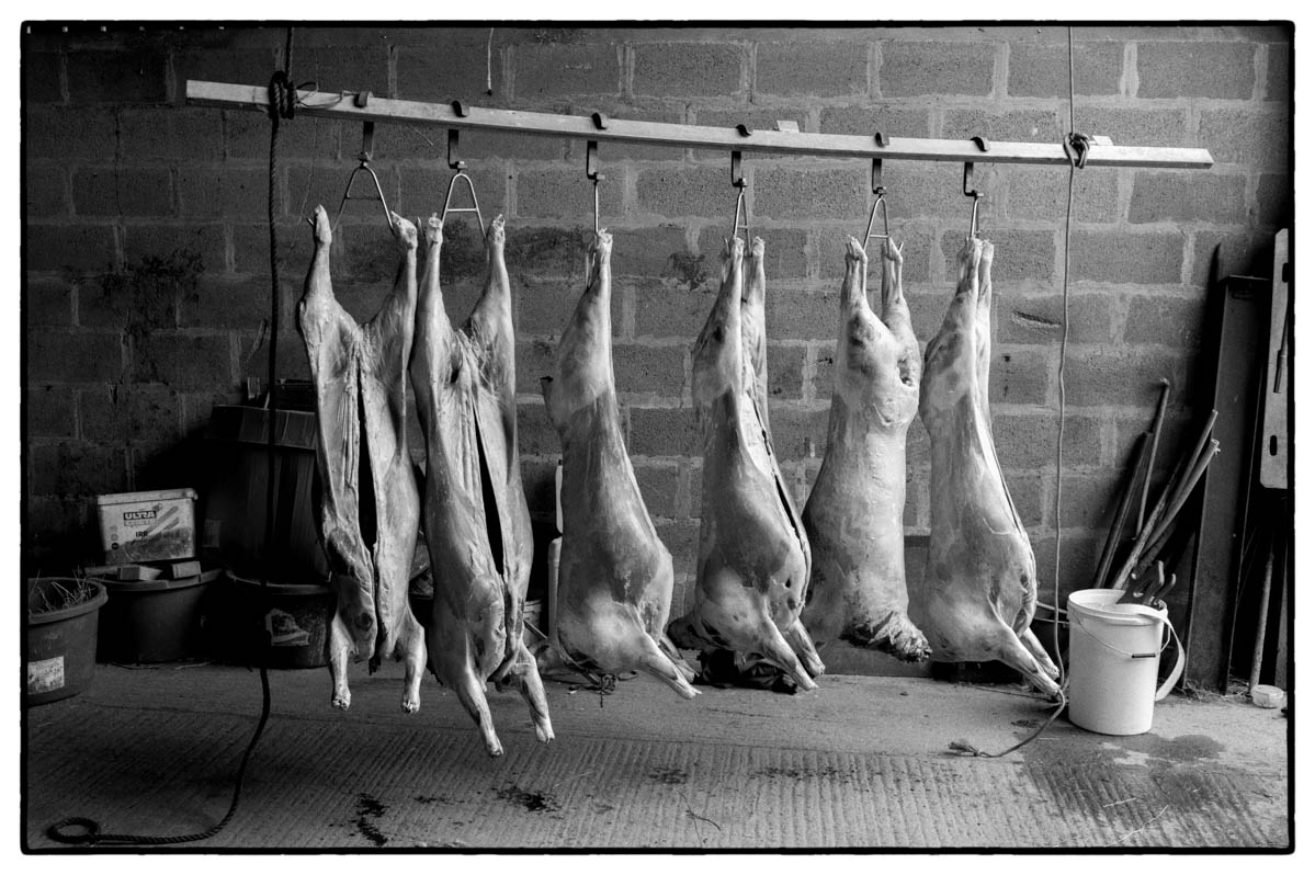 meat factory