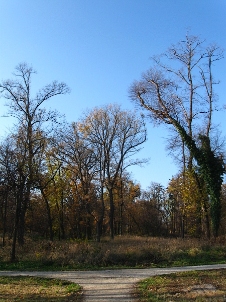 park