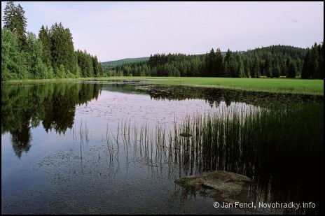 Huťský rybník, Novohradské hory