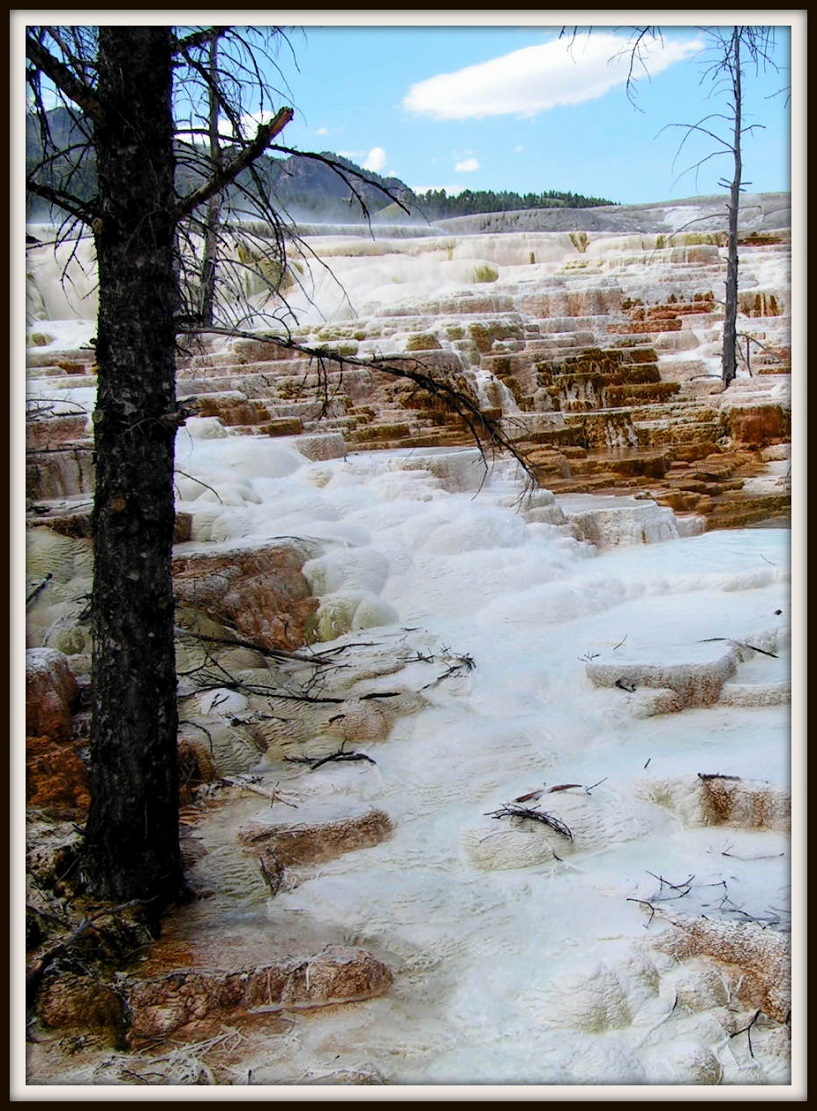 Yellowstone national park