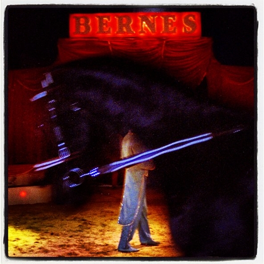 cirkus bude..