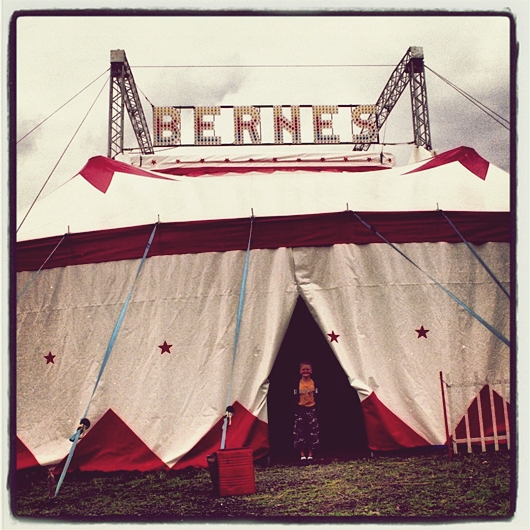 cirkus bude..