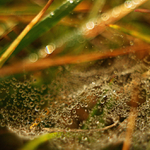 ... složení molekul vesmírů v nás ...