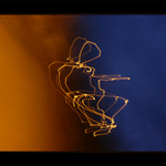 ..pianista,tanečník.....to už nechám na vás...