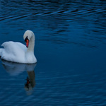 To mi to dnes sluší!